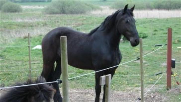 Frieser Miriam R.I.P. <3 billede 5