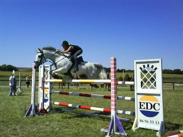 Tysk Sportspony Jonatan {AFLIVET} - ¤15¤ på ridelejr 2008 på MJR,  Højdespring 140cm(: Vandt(: fuck han sprang godt. min drømme pony(: billede 15