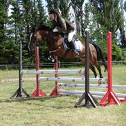 DSP Nordskov's Ingeborg solgt