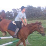 Frederiksborg Radon..