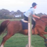 Frederiksborg Radon..