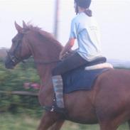 Frederiksborg Radon..