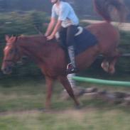 Frederiksborg Radon..