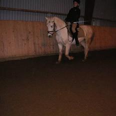 Anden særlig race Funny  <3 