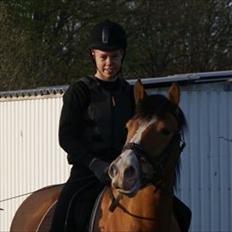 Anden særlig race Melody