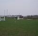 Welsh Cob (sec D) | Bjirmens Nynke |