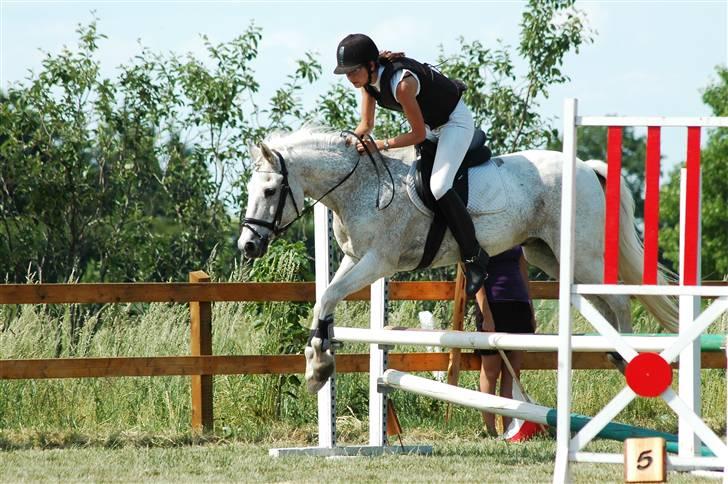 Connemara Shadow R.I.P. billede 8