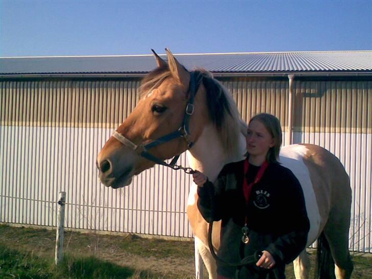 Anden særlig race Victoria <3 R.I.P <3 :'( Savner dig :'( <3 - Elsker dig victoria. Du er en fantastisk hest<33 billede 2