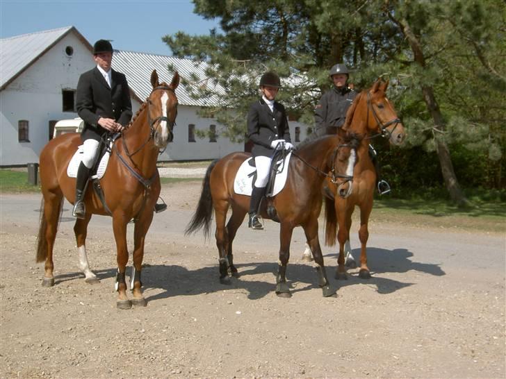 Connemara Birkely Little Teat R.I.P - max og ollie. mig og zuck. emilie og vilddyret. på vej til catter´s konfirmation. billede 20