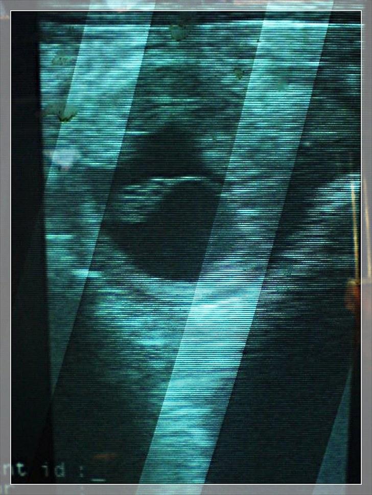 Anden særlig race MJ Mille SOLGT! - Scannings billede , 23 juni 2010 billede 19