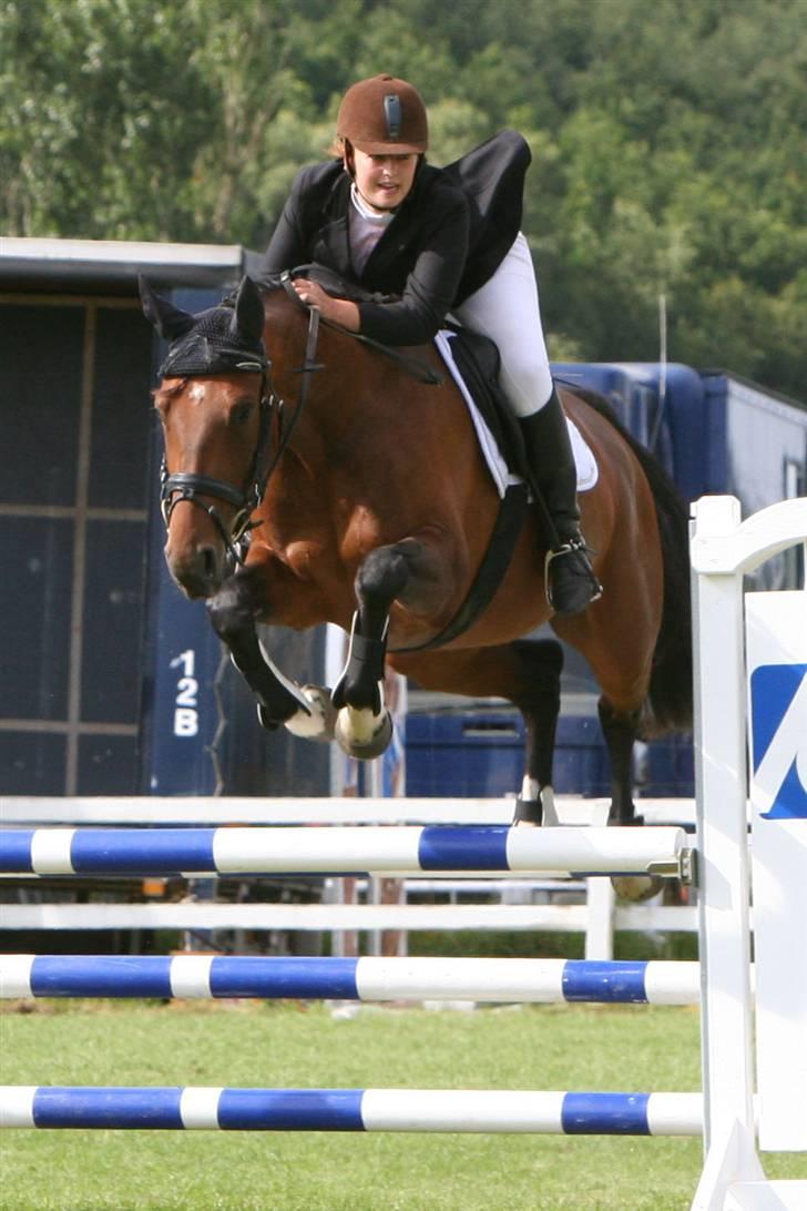 Dansk Varmblod Ørevadbros Chloe - SOLGT - Chloe og Trine Tved til Jysk Rideuge 2007 i en LB billede 18