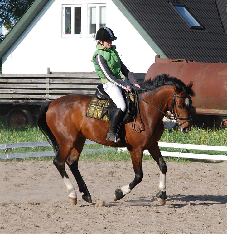 Anden særlig race Engedals E.T. - E.T. og jeg undervisning 24. maj 2010 Foto: Team MP <3 billede 19