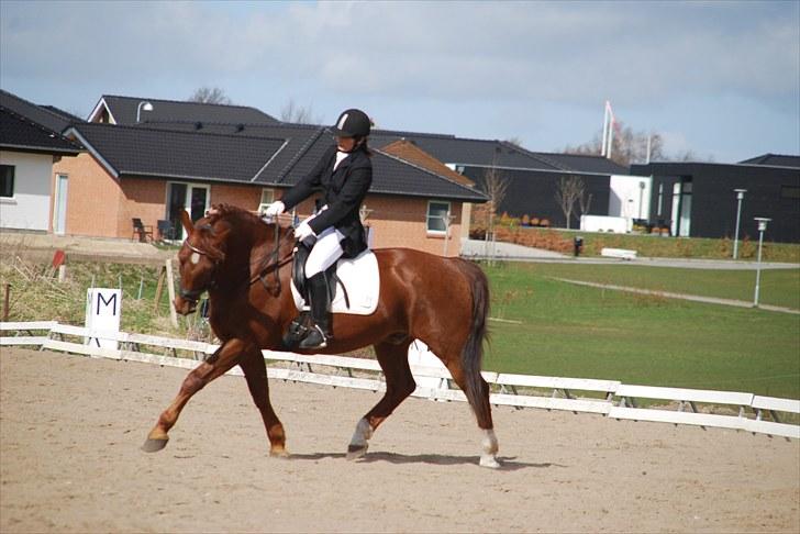 Oldenborg Alextho [Mors] - mor og alextho i LB2 i Nibe d. 18/4 2010 Foto: Stine Ravn <3 billede 13