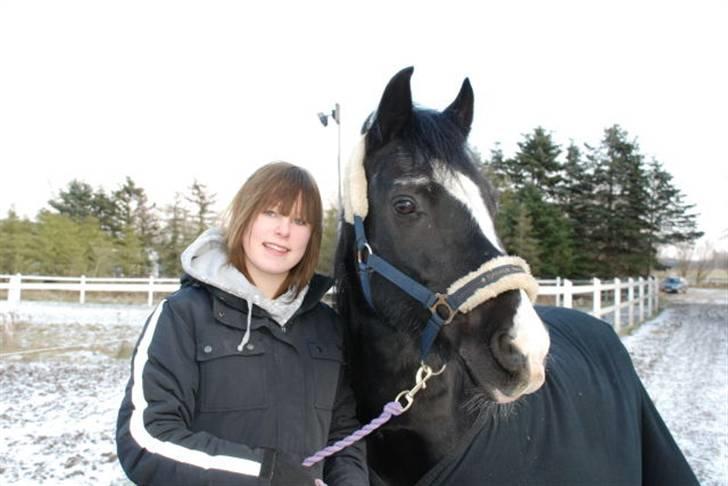 Anden særlig race Cisco <3 Tidl. Part :´( Miss You - 1# Velkommen til Cisco´s profil <3 :) billede 1