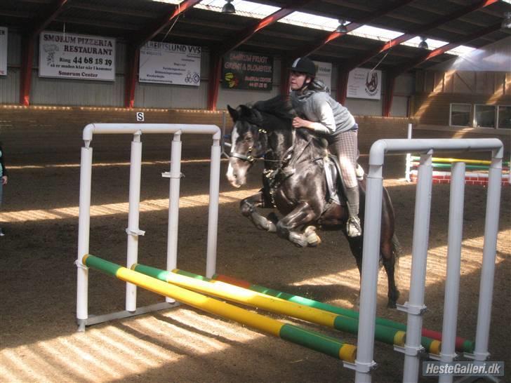 Anden særlig race Cisco <3 Tidl. Part :´( Miss You - 5# 80 cm højt og lidt over 1 meter i længe :) og vi springer jo bidløst <3 billede 5