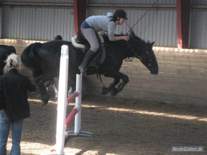 Anden særlig race Cisco <3 Tidl. Part :´( Miss You - 6# 1 meter højt <3 vi kan bare det i bidløst <3 XD billede 6