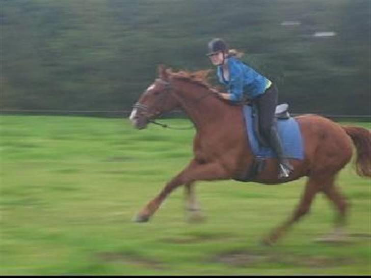 Frederiksborg <3 Skovbækkens Lexi <3 billede 9