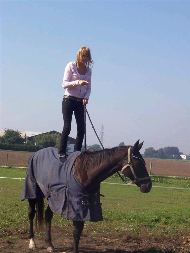 Fuldblod (XX) De Integro*solgt* - Sommer :) billede 3