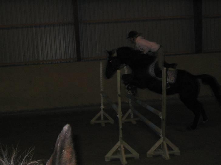 Fuldblod (XX) De Integro*solgt* - Igen igen :b billede 6