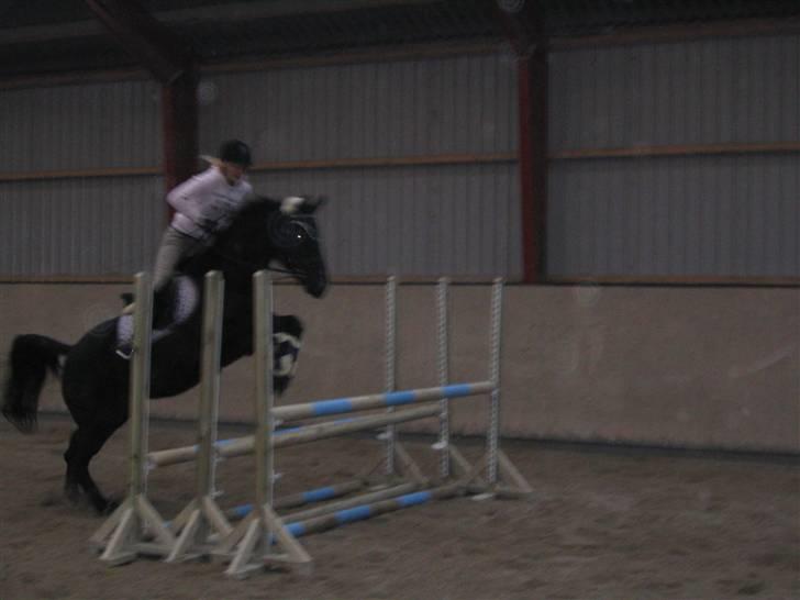 Fuldblod (XX) De Integro*solgt* - :) billede 8