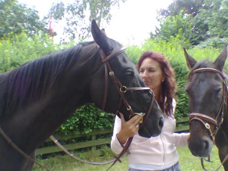 Fuldblod (XX) De Integro*solgt* - igen :) billede 10