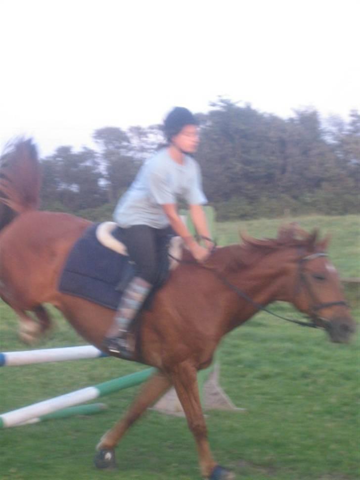 Frederiksborg Radon.. - Mig og Radon i spring , sommer 07 (:  billede 2