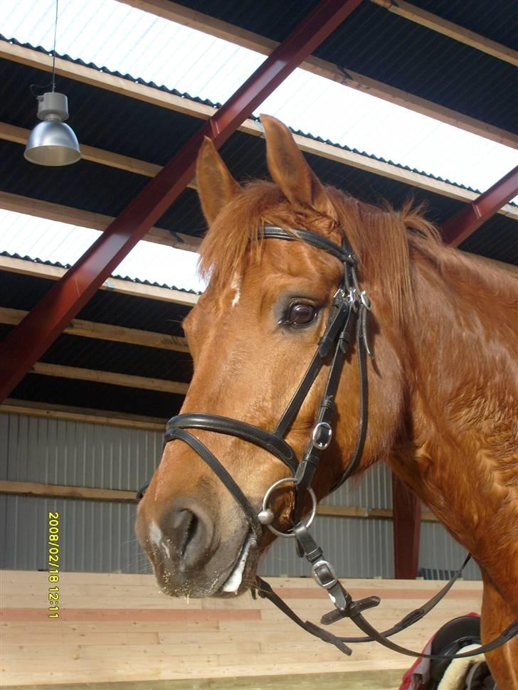 Anden særlig race PlayBoy <3 billede 20