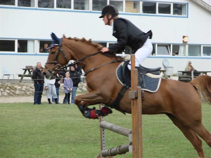 Hollandsk Sportspony Chakira  - foto: berntsen klubmesterskab 2009 billede 13