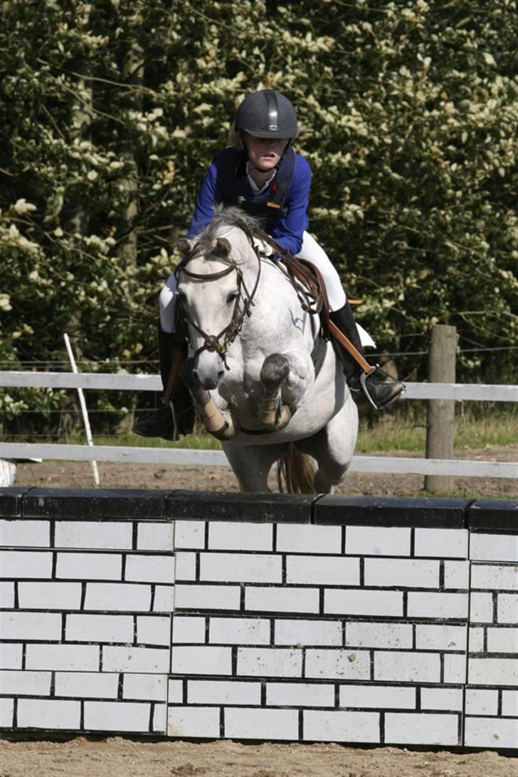 Welsh Pony (sec B) Lyngvejens Jack  - Over muren, til SJM 2007, hvor vi blev nr. 5  billede 2