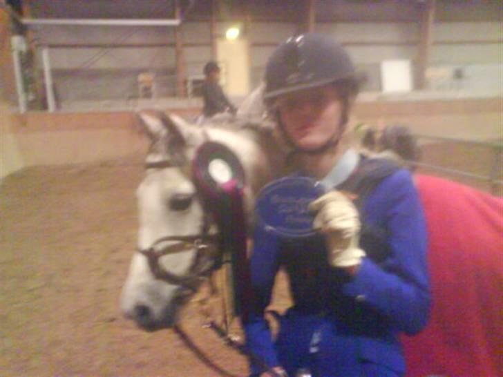 Welsh Pony (sec B) Lyngvejens Jack  - nr. 3 til Baltic cup finalen 2007 billede 7