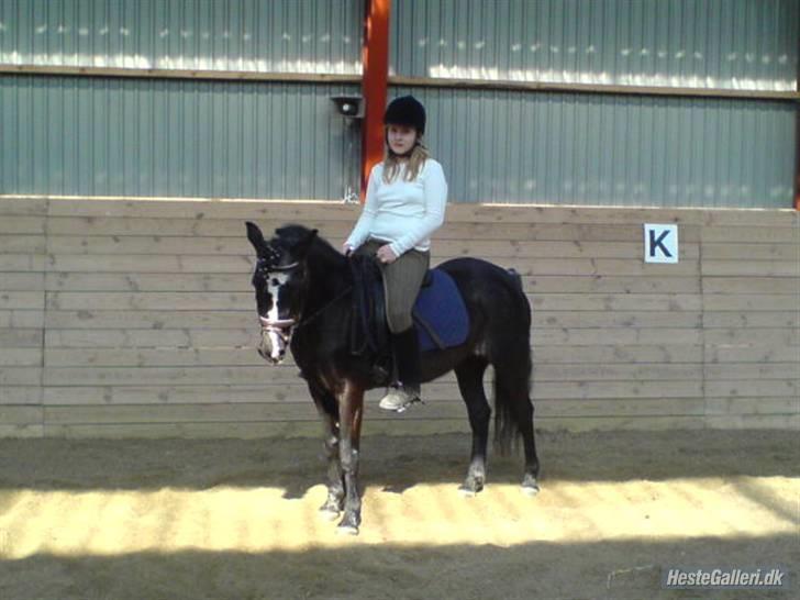 DSP Ca-pia *Død* <3 - Til vores første stævne ..vi blev ikke placeret-- billede 19