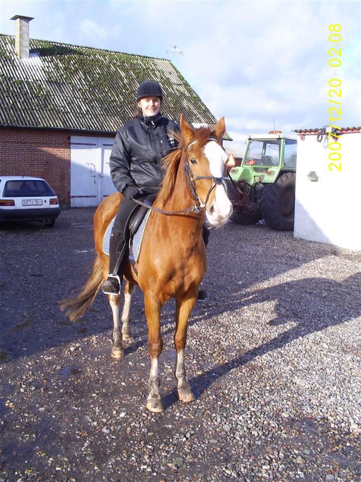 Frederiksborg Sylvester billede 5