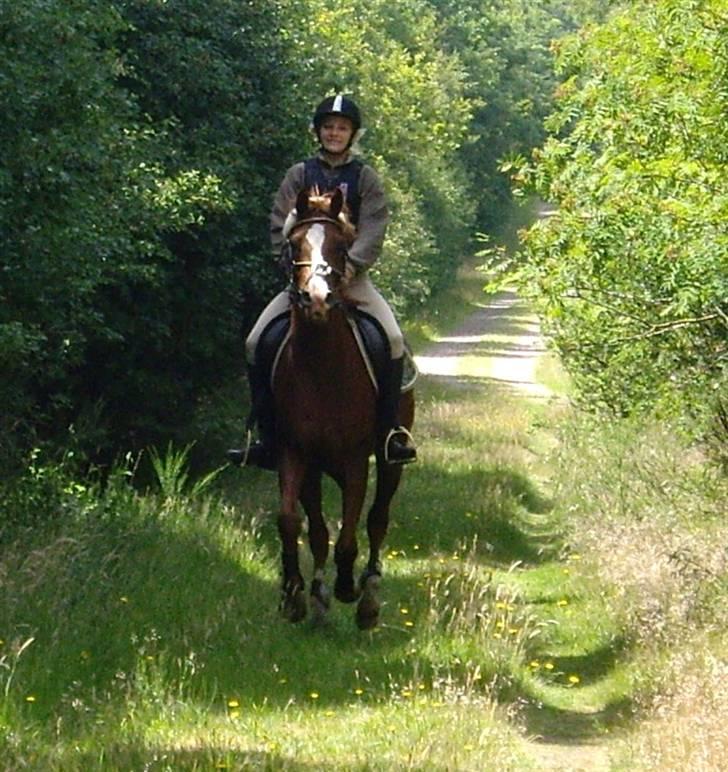 Sportsaraber (A) min smukke Joy  pynter på himmelen nu - smukke. billede 4