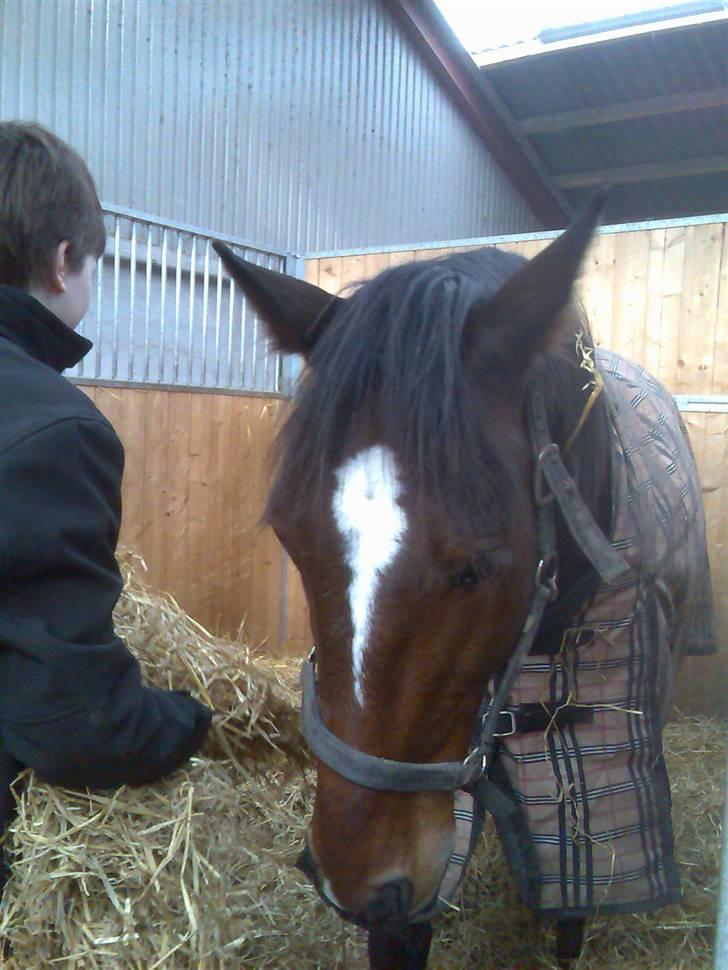 Traver Discovery - <33333333 billede 8