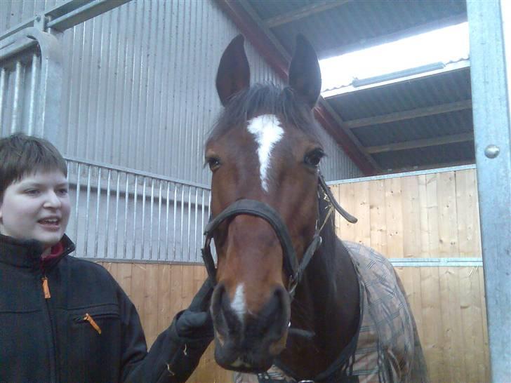 Traver Discovery - Discovery ! ! ! ! ! billede 9