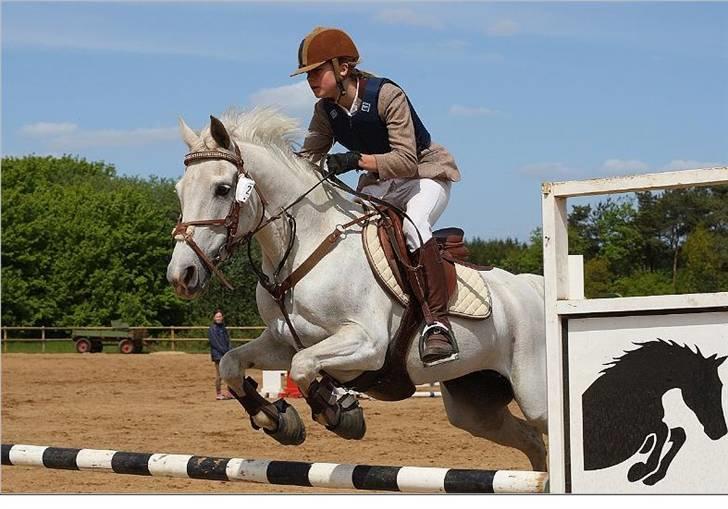 Anden særlig race Flicka  - Flicka i Vestbirk rideklub 1. plads i LA billede 1