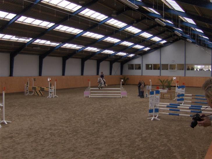 Anden særlig race Flicka  - Sabrina og Flicka til distriktsstævne i Middelfart sportsrideklub billede 6