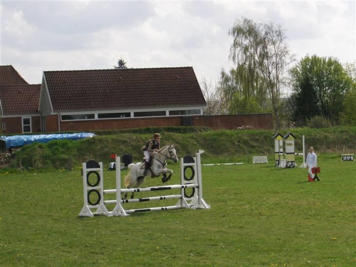 Anden særlig race Flicka  - Sabrina og Flicka til stævne i Bolderslev.2.plads i LB billede 9