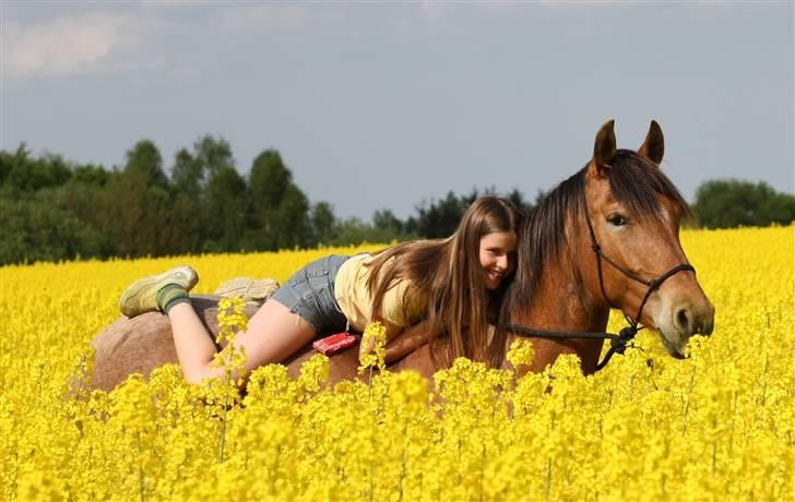 Anden særlig race Vilja Menneske Øje - 3) Fotografering i rapsmarken, en sommer dag i 2008 Billede: Lyndby foto billede 3