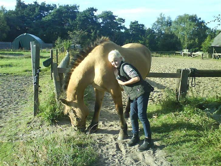 Anden særlig race Teddy (part) - teddy og mig billede 2