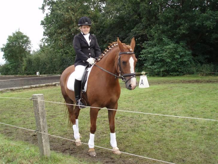 DSP Jet´aime<3 - her er vi til stævne i padborg .. tror jeg øver program billede 12