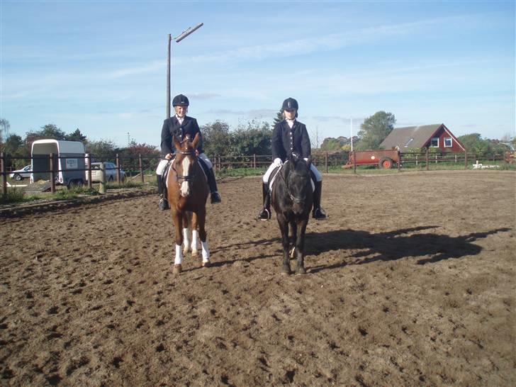 DSP Jet´aime<3 - mig og en veninde til stævne i midt als billede 13