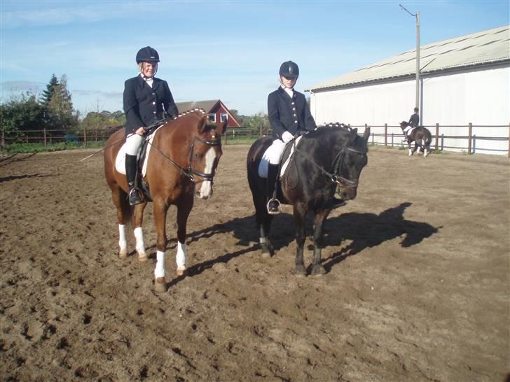 DSP Jet´aime<3 - her holder mig og min skønne pony lige og snakker med rie og bolegro billede 14