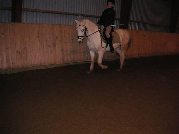 Anden særlig race Funny  <3  - Lidt dressurtræning (: <3  billede 2