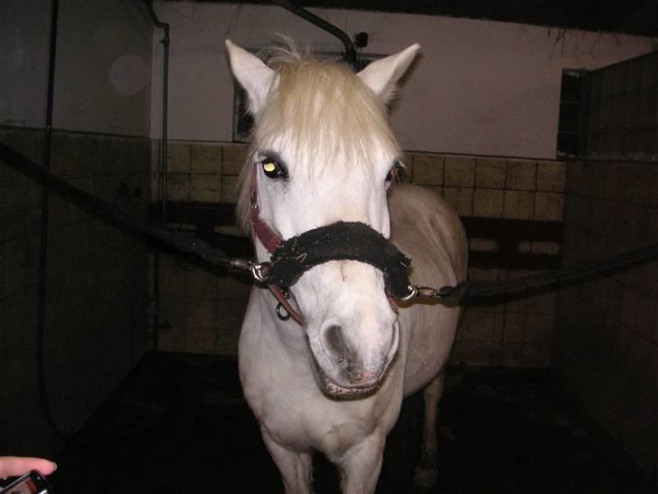 Anden særlig race Funny  <3  - Nåårh :D <3  billede 3