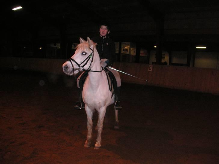 Anden særlig race Funny  <3  - Dressurtræning <3  billede 7