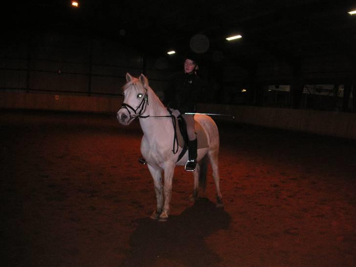 Anden særlig race Funny  <3  - Dressurtræning <3  billede 8