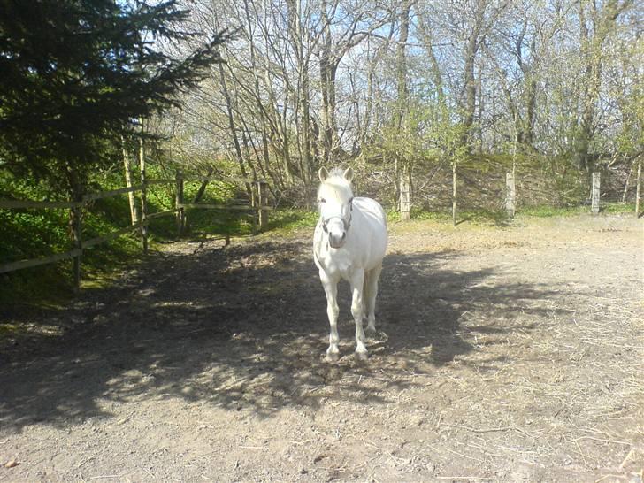 Anden særlig race Funny  <3  - :Þ billede 10