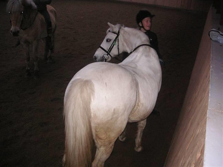 Anden særlig race Funny  <3  - Numse´Funs xD <3  billede 12