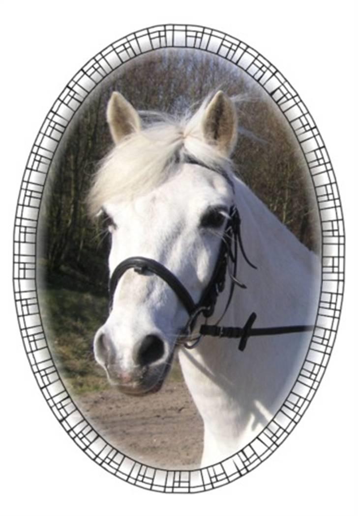 Anden særlig race Funny  <3  - Heh <3  billede 13